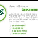 (주)자작나눔