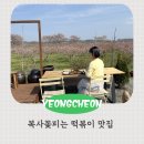 보리떡머슴&커피마님 | 대구근교 가볼만한 곳 영천 맛집 보리떡 머슴과 커피 마님 복사꽃 개화