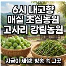 6시 내고향 매실 초심농원 고사리 강림농원 지금 제철