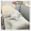 수가인뷰티신불당 | 천안왁싱 아프지 않고 만족스러웠어요