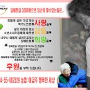 어르신이행복한복지센타 이미지