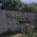 궁전식육실비 이미지