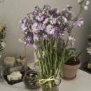 최지우더블유외과의원 이미지