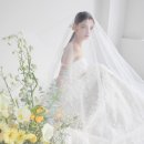 메이비즈 이미지