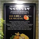닥터브레드