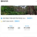 소나무과 계곡 캠핑장 | 26년 4월, 깨끗한 계곡이 바로 앞에 있는 [캠프오어즈] 여름 10번
