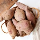 성고농장 이미지