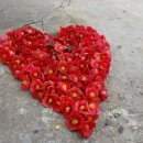 거제지심도 이미지