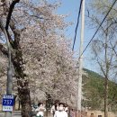 공인중개사사무소 보리 이미지