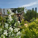 태화강국가정원 이미지