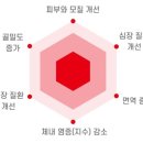 강아지 종합영양제 추천 &amp; 급여후기 설채현쌤이 인정한&#34;안티놀래피드&#34;