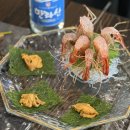 바다의왕 | 중랑맛집) 바다의식탁 오마카세A+코스 내돈내산 솔직후기