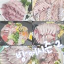 10번 채웠지만 더 먹은 방어 서울 방어 맛집 추천 비추천 5곳 2