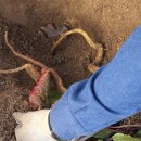 금강초등학교 이미지