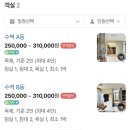 스테이 유수 이미지