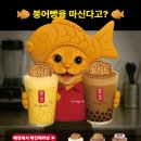 공차 - 성북구 종암로 167 | 공차