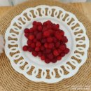 맨앤독 애견카페 이미지