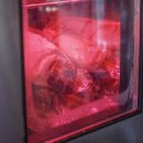 성산등용로 이미지