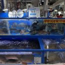 엘지전자(주)북수원서비스센터 | [경기 수원] “수원시농수산물도매시장” 방어회•모둠회 저렴한 맛집“창대수산”