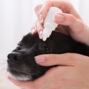 괴정동물병원 이미지