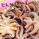 건어물365 네이버블로그