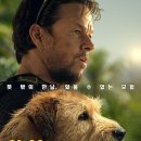 아서의집 | 영화: 아서 (Arthur the King) 정보 출연진 줄거리, 결말,추천 이유,감상평 요약