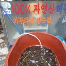 자연산추어탕 - 원주시 | 자연산추어탕