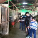 마장지역아동센터 이미지