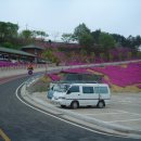 비슬산휴양림주차장매점 이미지