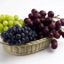 선재 넛출 공중화장실 | 안산 대부 포도 축제 기본정보, 일정, 장소, 프로그램