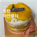 단지,이것 | 동탄 하얀풍차 망고케이크 내돈내산｜망고단지 미니 예약 후기