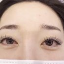속눈썹언니 네이버블로그