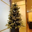 푸른맘한의원 이미지