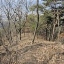 신화랑풍류숲길 이미지