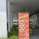 송도테크노파크내 | 송도 테크노파크 점심 가성비 연어덮밥, 육회바른연어 런치세트