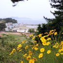 도레미펜션 이미지