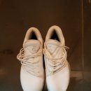 고양시청  체육관 이미지