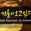 빙하시대
