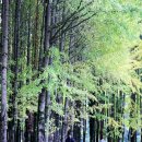 도리경로당 이미지