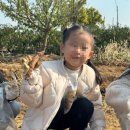 성빈센트유치원 이미지