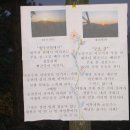 바라다