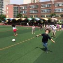 분당초등학교 이미지