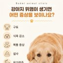 석적동물병원