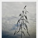 영화마을 이미지