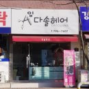 임다솔 헤어