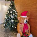 보약같은버섯전골 | [대구 팔공산/동구]팔공산 한정식 밥을짓다 . 보약 같은 식사