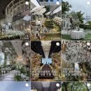 대구위드 | 웨딩기록 2 | 대구•경북 축의대 대행 서비스 에버위드 계약 후기 (짝꿍코드 O)