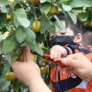 서구그린어린이집 이미지