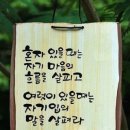 1259 이미지