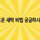 세탁인 이미지
